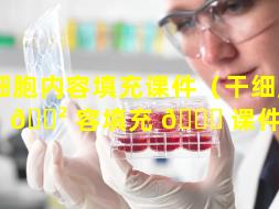 干细胞内容填充课件（干细胞内 🌲 容填充 🐎 课件ppt）